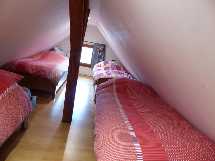 Gite Spacieux Au Coeur De L'Alsace 3*** Sélestat Exterior foto
