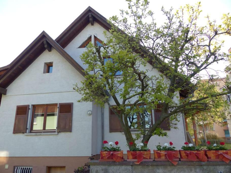 Gite Spacieux Au Coeur De L'Alsace 3*** Sélestat Exterior foto